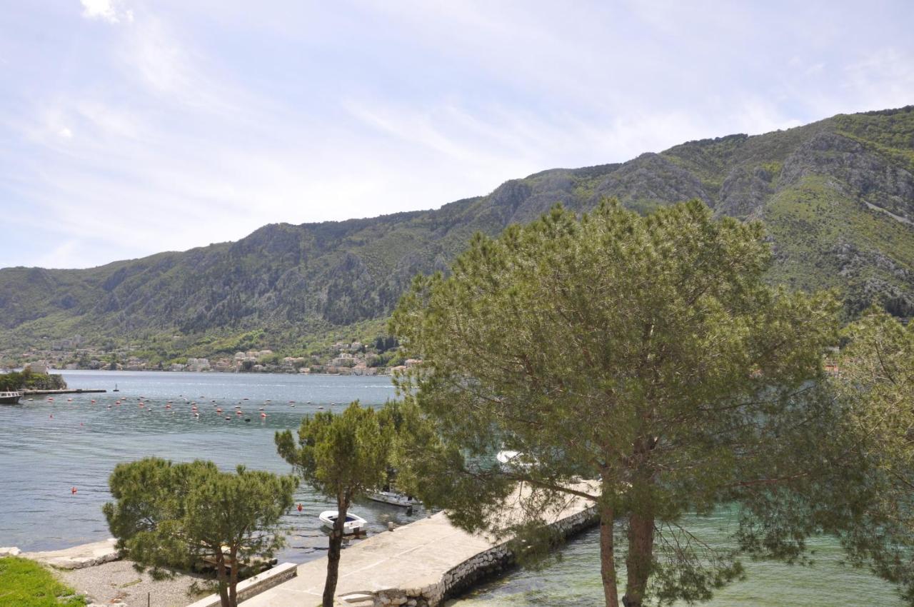 Apartments Vujosevic Kotor Zewnętrze zdjęcie