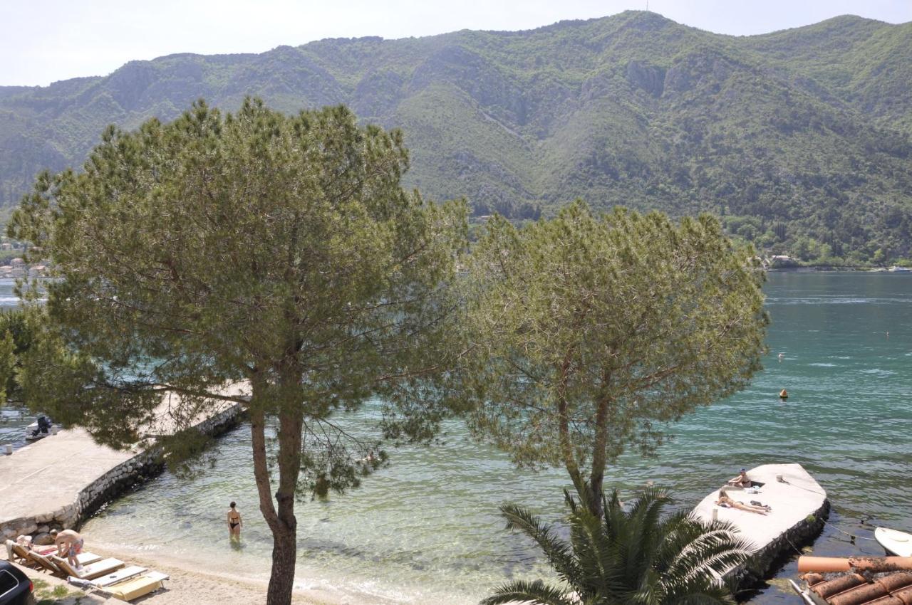 Apartments Vujosevic Kotor Zewnętrze zdjęcie