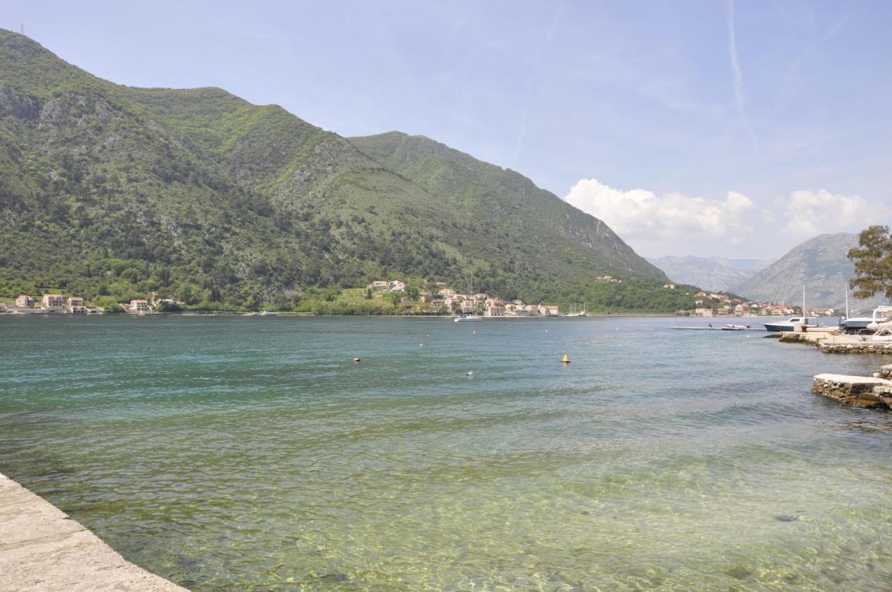 Apartments Vujosevic Kotor Zewnętrze zdjęcie